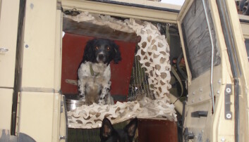 <SPAN style="FONT-SIZE: 16px; COLOR: #333333; FONT-STYLE: italic; BACKGROUND-COLOR: #eeeeee">Hundepatruljen i Afghanistan med Ernie øverst.</SPAN><BR> <SPAN style="FONT-SIZE: 16px; COLOR: #333333; FONT-STYLE: italic; BACKGROUND-COLOR: #eeeeee">Hundepatruljen i Afghanistan med Ernie øverst.</SPAN><BR>