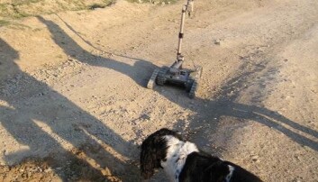 Ernie sammen med bomberobot og nedgravd mine. Ernie sammen med bomberobot og nedgravd mine. 