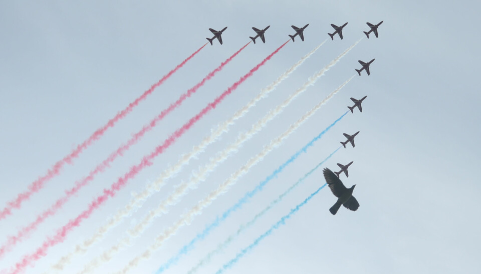 Fly fra det britiske luftforsvarets oppvisningsenhet, The Red Arrows, flyr over London.