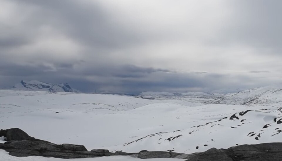 8. juni 1940 trakk de allierte seg ut av Narvikfjellene.