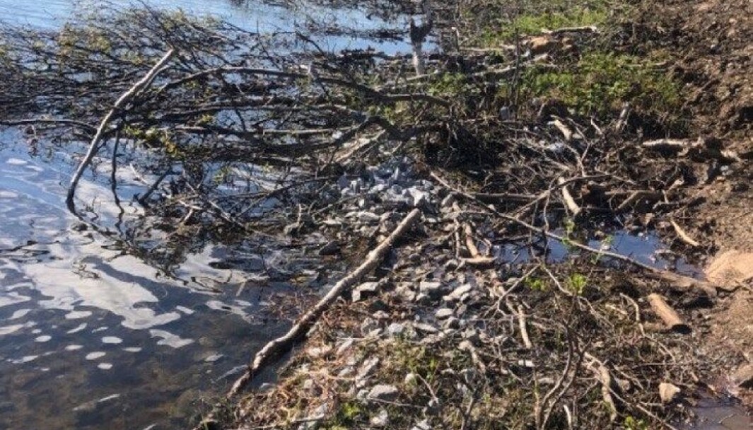 Masser er ulovlig fylt ut i Svanevatnet, som er del av Nautå naturreservat i Evenes, skriver Fylkesmannen i Nordland. Masser er ulovlig fylt ut i Svanevatnet, som er del av Nautå naturreservat i Evenes, skriver Fylkesmannen i Nordland.