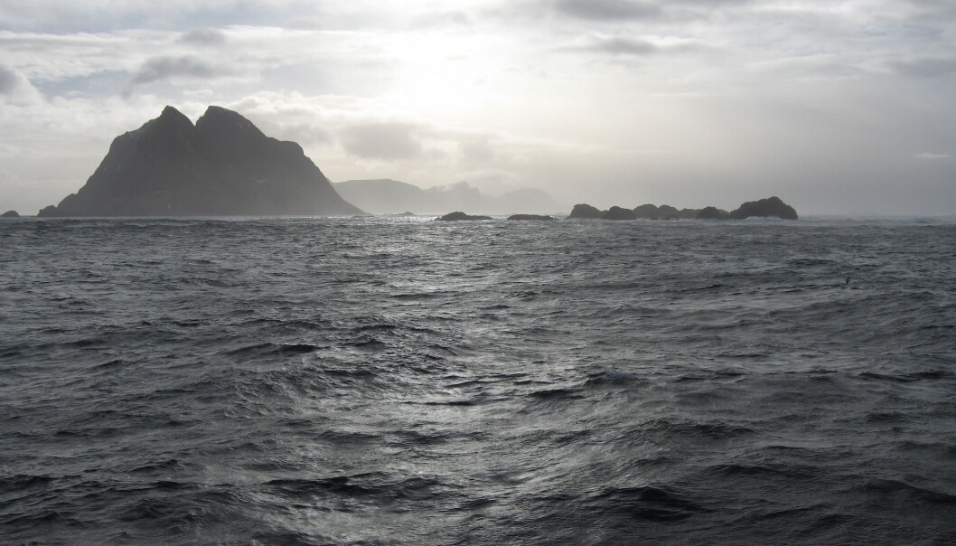 Mosken i Nordland. Mosken i Nordland.