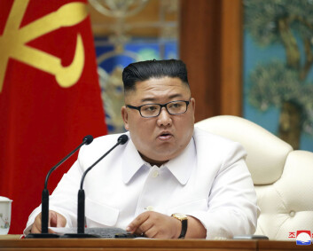 FN-rapport: Nord-Koreas atomprogram er inne i ny fase