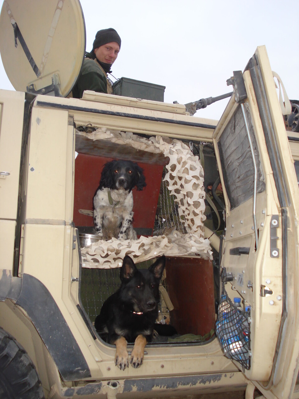 Hundepatruljen i Afghanistan med Ernie øverst.