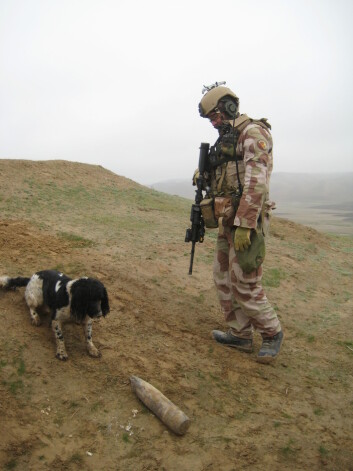 Ernie&nbsp;<SPAN style=&#34;FONT-SIZE: 16px; COLOR: #333333&#34;>var den første norske hunden som fant en veibombe i Afghanistan.</SPAN>