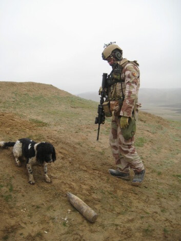 Ernie <SPAN style="FONT-SIZE: 16px; COLOR: #333333">var den første norske hunden som fant en veibombe i Afghanistan.</SPAN> Ernie <SPAN style="FONT-SIZE: 16px; COLOR: #333333">var den første norske hunden som fant en veibombe i Afghanistan.</SPAN>