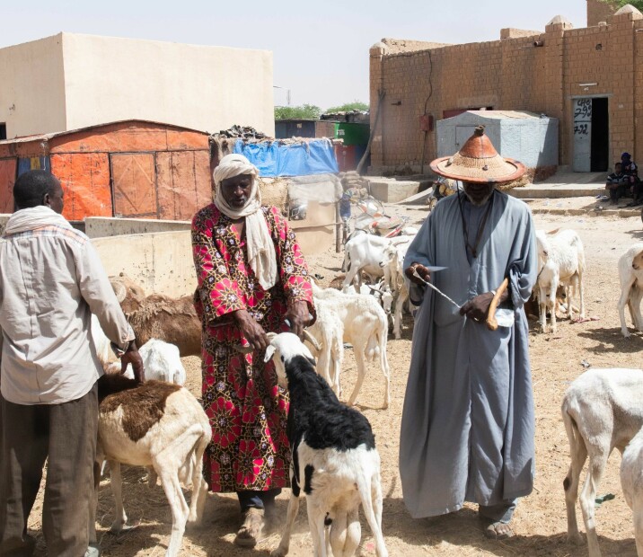 Bønder på markedet i Timbuktu sentrum. Foto: Silje Kampesæter
