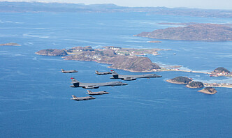Norske F-16 øvde med amerikansk bombefly