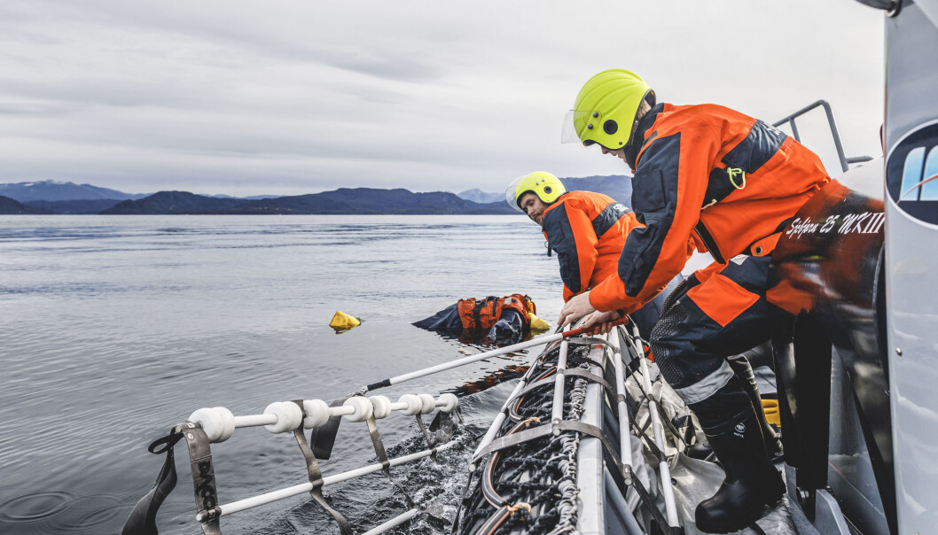 KNM Maud er ute og seiler igjen etter å ha fått opphevet seilingsforbudet. Opptrening og kursing av mannskapet er nå i gang. Mann over bord-øvelse. Foto: Krister Sørbø, Forsvarets forum KNM Maud er ute og seiler igjen etter å ha fått opphevet seilingsforbudet. Opptrening og kursing av mannskapet er nå i gang. Mann over bord-øvelse. Foto: Krister Sørbø, Forsvarets forum