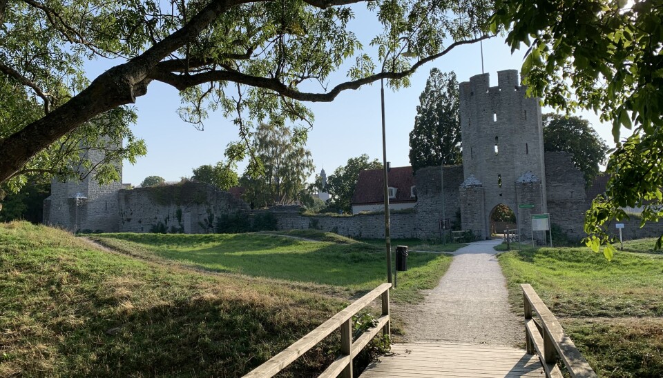 Idyllisk ved bymuren rundt gamlebyen i Visby.