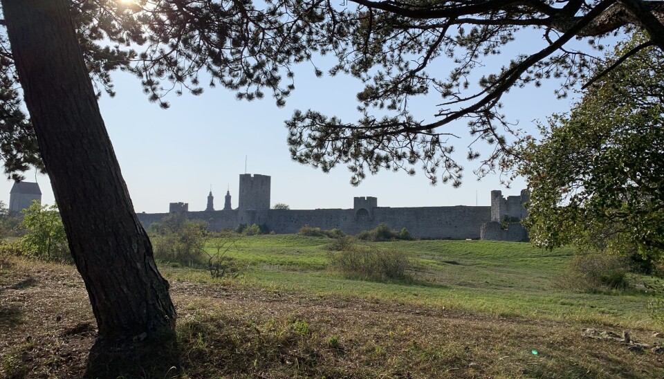 Idyllisk ved bymuren rundt gamlebyen i Visby.