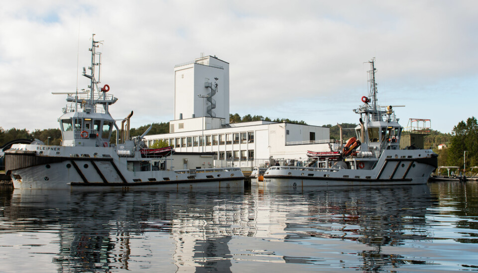Dykker- og froskemannsenteret ved Haakonsvern Orlogsstasjon.