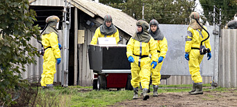 Mutert koronavirus hos dansk mink: Forsvaret og Hjemmeværnet settes inn