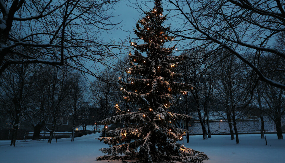 Omstilling trenger ingen begrunnelse. Og det tar oss heller ingen steder, annet enn til nye omstillinger, skriver Harald Høiback i sin julehilsen. Her ser vi et juletre på Akershus festning.