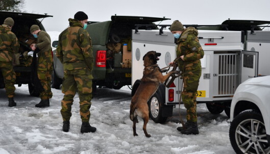 Forsvaret stiller med søkshunder på skadestedet. Forsvaret stiller med søkshunder på skadestedet.