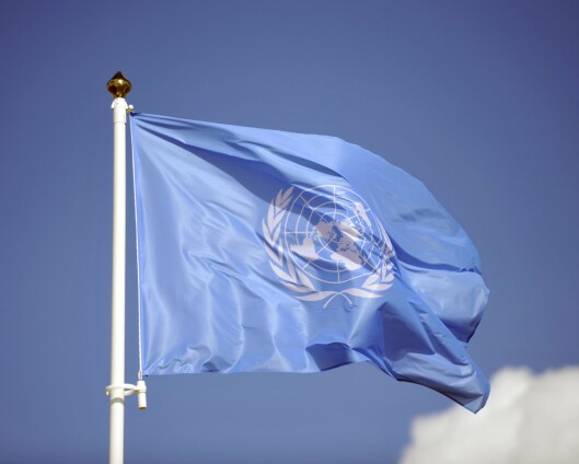 Pensjonert norsk offiser under FN-gransking
