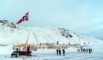 Alle på Jan Mayen bidro i letearbeidet. 18 personer bor og jobber der. Alle på Jan Mayen bidro i letearbeidet. 18 personer bor og jobber der.