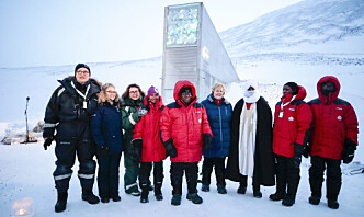 Svalbard under press: - Myndighetenes strategiske taushet