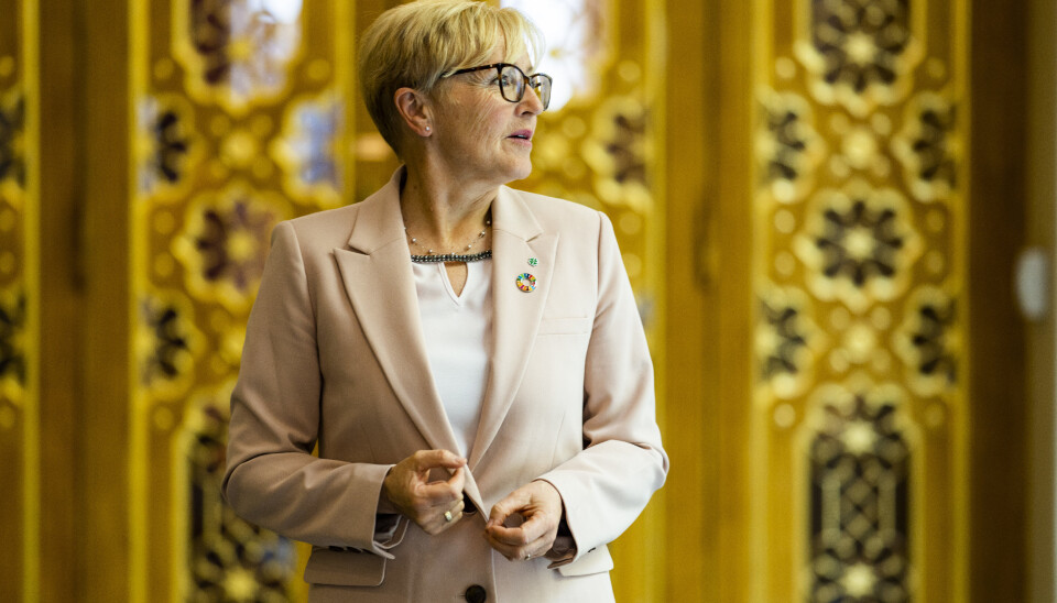 TAR INITIATIV: Signe Navarsete (Sp) sitter i utenriks- og forsvarskomiteen. Sp har tatt initiativ til et forslag om å sikre eierskap av kritisk infrastruktur i nordområdene, som nå har fått et flertall bak seg.