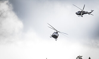 Sju hester fikk panikk under helikopteroverflygning – Luftforsvaret betaler erstatning