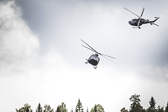 Sju hester fikk panikk under helikopteroverflygning – Luftforsvaret betaler erstatning