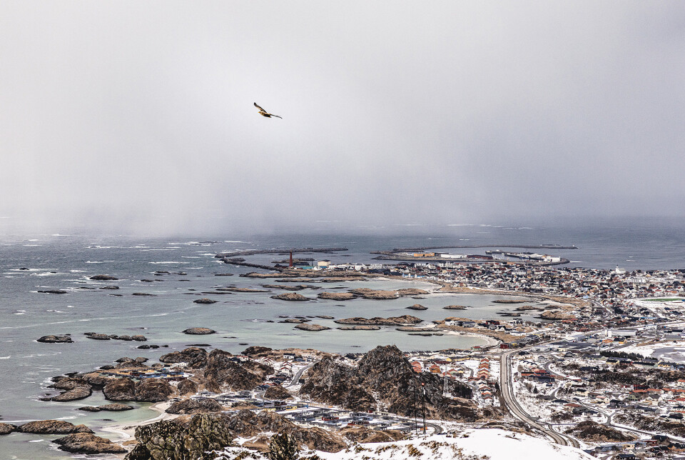 BYGGER OPP: Det skal etableres en rekke større forsvarssatsinger i Andøy . Bildet viser Andenes.