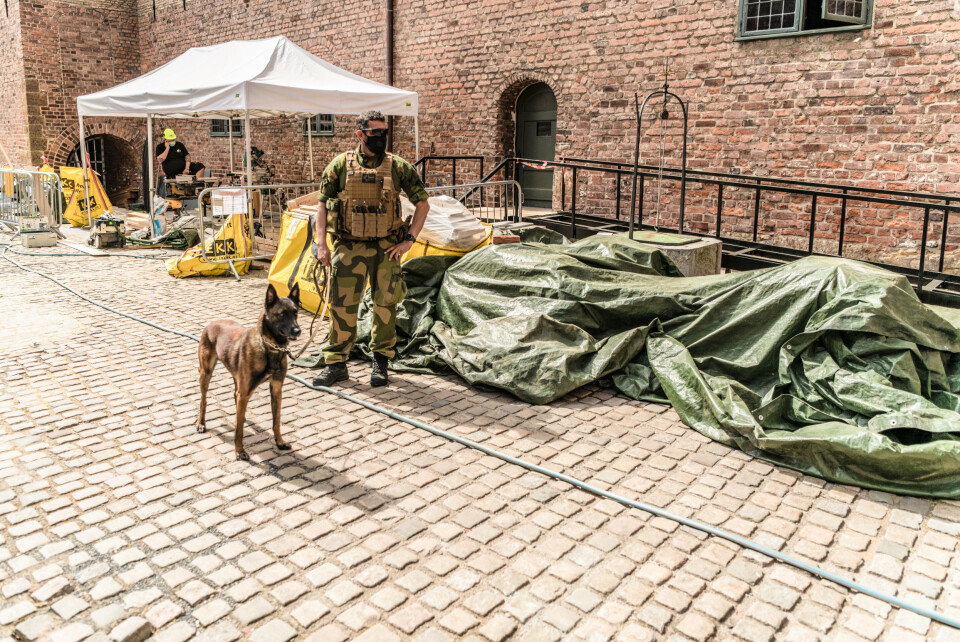 EKSPLOSIVSØK: Hundefører Frode i HV08 gjennomfører eksplosivsøk på Akershus festning, i forbindelse med at USS Mount Whitney befinner seg i Oslo. Foto: John Birger Morud, Soldatnytt