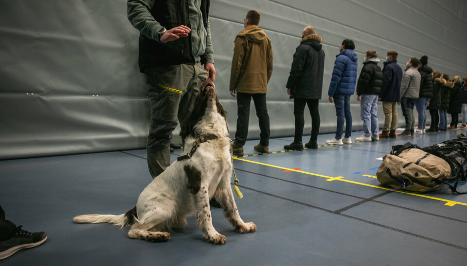 SØK: Hund fra Forsvarets narkotikagruppe gjennomfører søk på rekrutter ved innrykk.