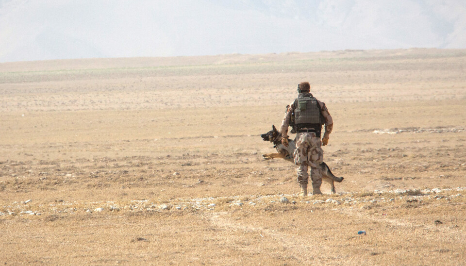AFGHANISTAN: Norsk soldat under en øvelse i Afghanistan. AFGHANISTAN: Norsk soldat under en øvelse i Afghanistan.