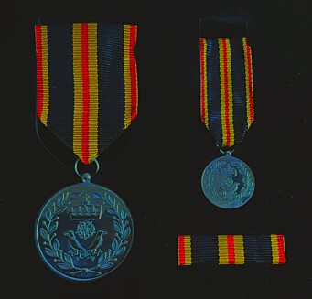 MEDALJEN: Hatlebrekkes fortenstmedalje. MEDALJEN: Hatlebrekkes fortenstmedalje.