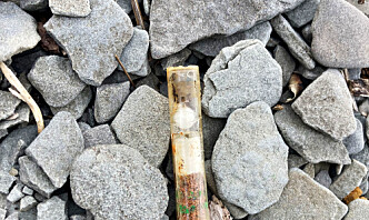 Giftig ampulle fra krigen funnet i Jesusbukta i Horten