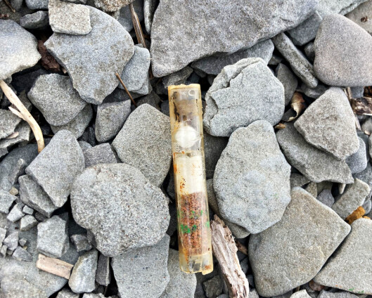 Giftig ampulle fra krigen funnet i Jesusbukta i Horten