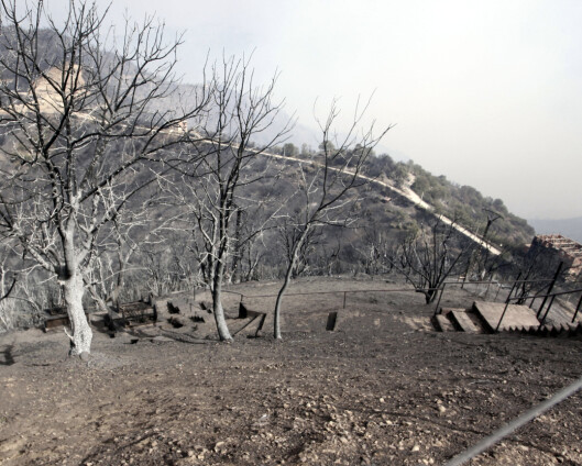 25 soldater døde i skogbranner i Algerie – minst 42 døde totalt