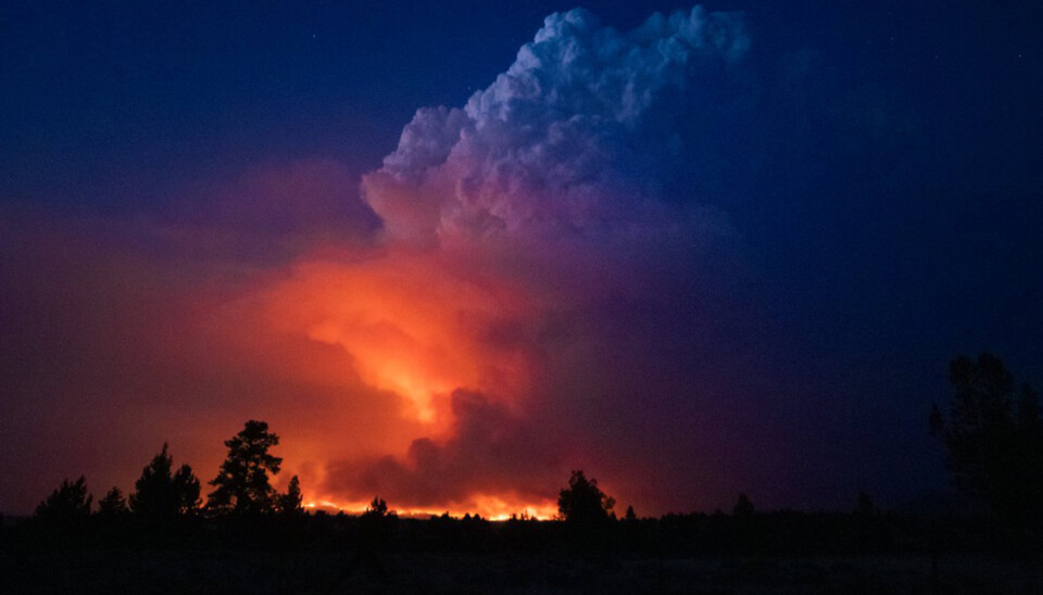 BRANN. Klimaforandringer kan blant annet påvirke Forsvarets materiell, skriver Johanne Jensen Skeie. Dette bildet er fra en skogbrann i Oregon USA i sommer.