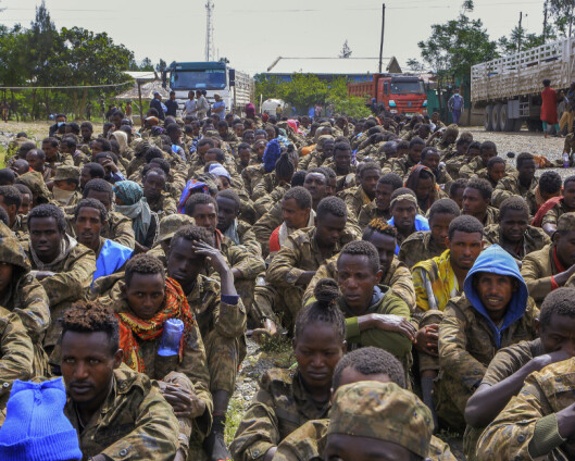 Flere opprørsgrupper danner felles front mot Etiopias regjeringshær