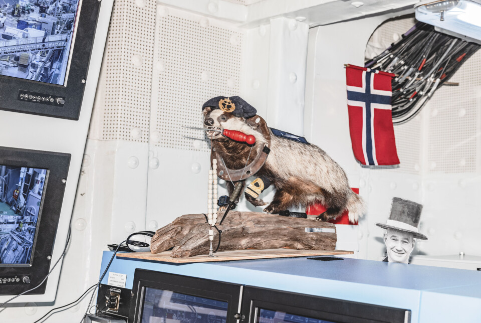 MASKOT: Grevlingen Mugello er maskot om bord på KNM Fridtjof Nansen.