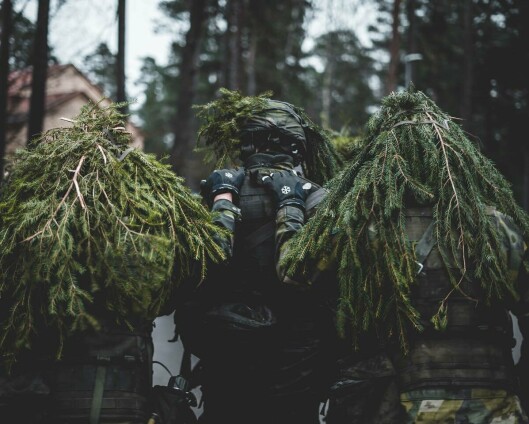 Svensk regimentssjef sier at vernepliktige har blitt utsatt for «destruktivt lederskap»