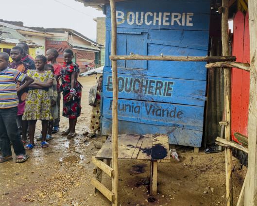 Selvmordsbomber rammet julefeiring i Kongo – flere drept