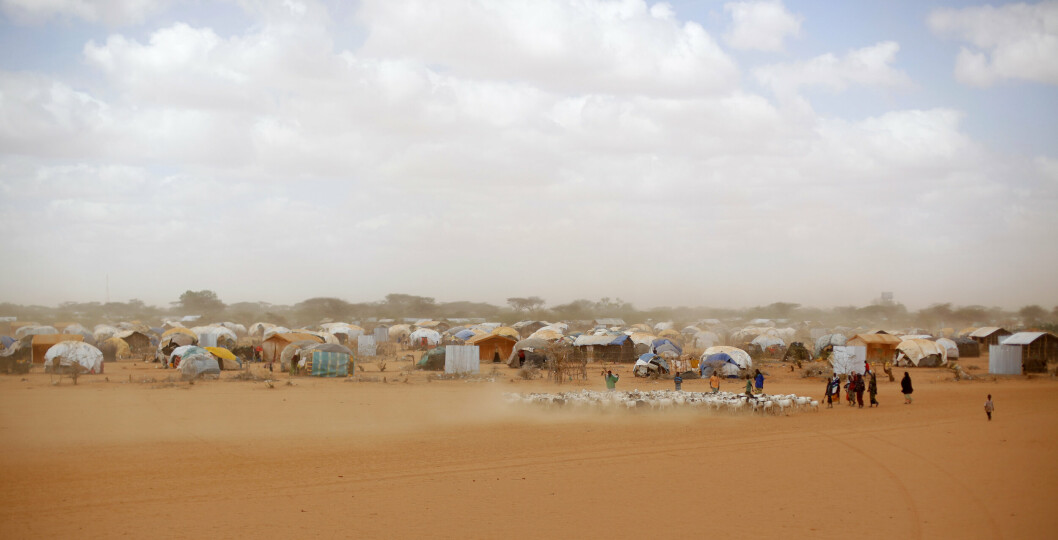 TØRT: Dette biletet frå 2011 viser somaliske flyktningar som gjeter ein geiteflokk ved Ifo flyktningleir i Kenya.