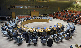 Her er FNs sikkerhetsråds fem nye medlemmer