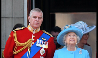 Britisk prins sier fra seg sine militære ærestitler