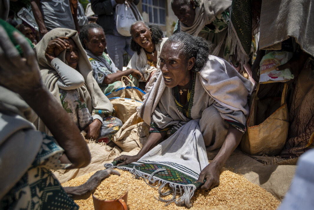 SULTET: En etiopisk kvinne krangler med andre om tildelingen av gule erter distribuert av Hjelpeforeningen i Tigray i byen Agula, i Nord-Etiopia, 8. mai 2021. SULTET: En etiopisk kvinne krangler med andre om tildelingen av gule erter distribuert av Hjelpeforeningen i Tigray i byen Agula, i Nord-Etiopia, 8. mai 2021.