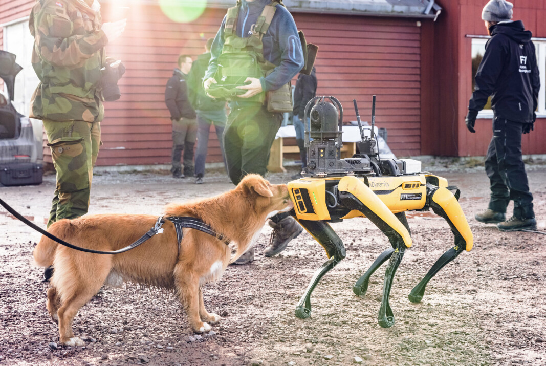 ROBOT: Hunden Odin hilser på FFI-roboten «Freke». Mange av prosjektene som har fått tildelt penger handler om kunstig intelligens og autonomi. Bildet er tatt i en annen sammenheng.