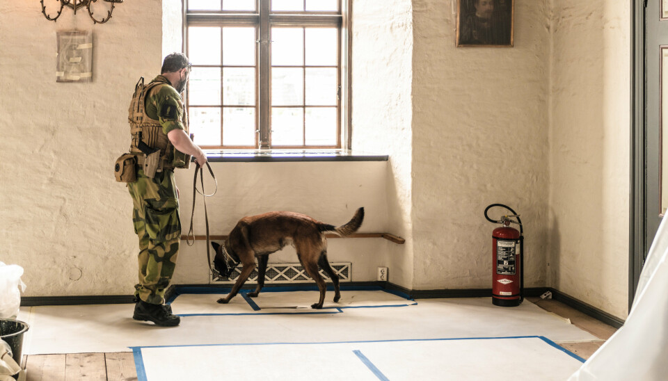 SPRENGSTOFF: Forsvaret har også hunder som kan lukte seg frem til eksplosiver. Her under søk på Akershus festning.