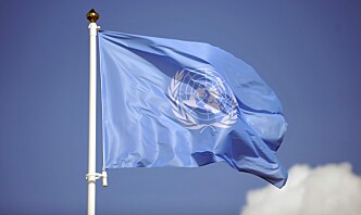25 FN-ansatte drept i angrep i 2021