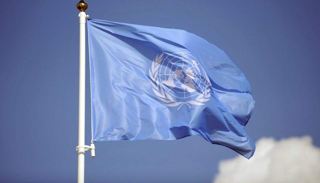 DREPT I ANGREP: I fjor ble 24 FN-soldater og en sivilist som jobbet for FN, drept i angrep, opplyser de FN-ansattes fagforening.