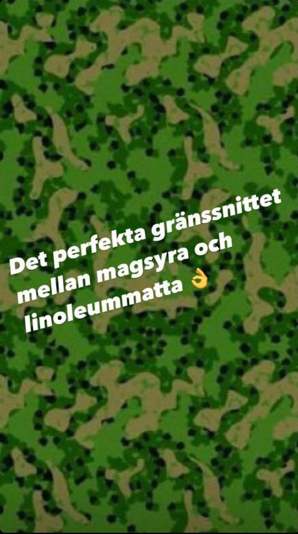 Slik harselerer internett med Forsvarets nye kamuflasjemønster