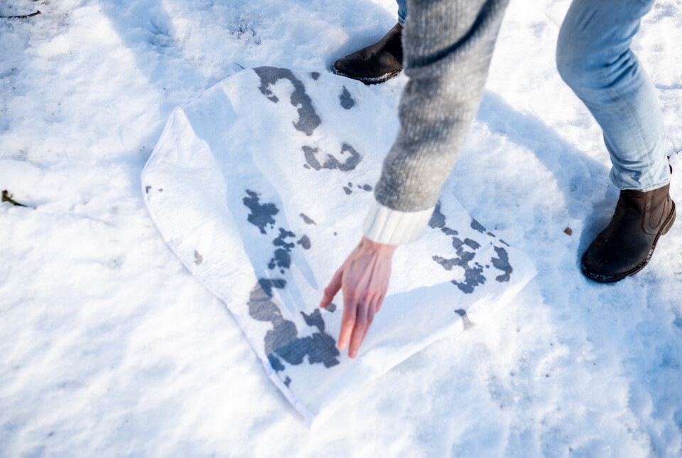 VINTER: Den nye vinterkamuflasjen har mørke flekker, i motsetning til dagens.