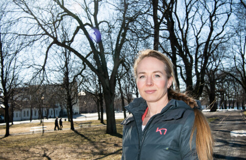 Blir ny ekspedisjonssjef i Forsvarsdepartementet