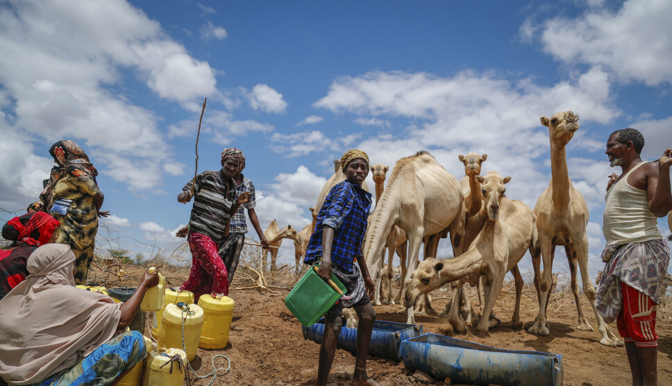Gjetere henter vann fra et borehull i bakken ved Karuti i fylket Garissa i Kenya i oktober i fjor. Allerede da ble det advart om at omfattende hungersnød i Øst-Afrika kunne utvikle seg til en katastrofe.